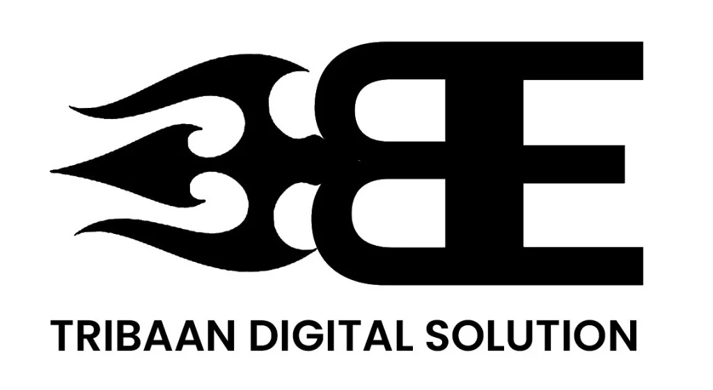Developer Logo